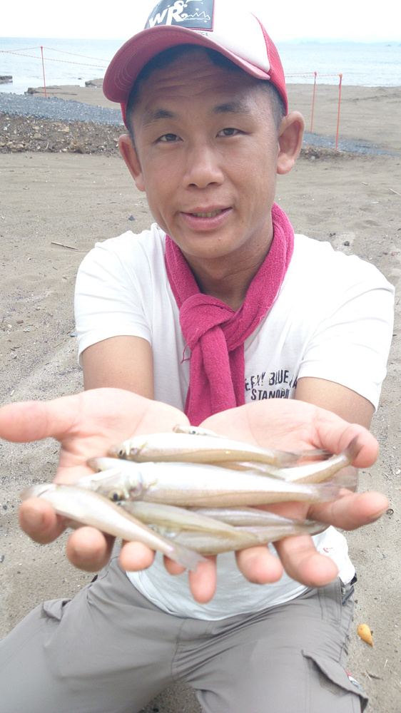 【福井県 難波江 海水浴場】ちょい投げキス釣り60匹釣果