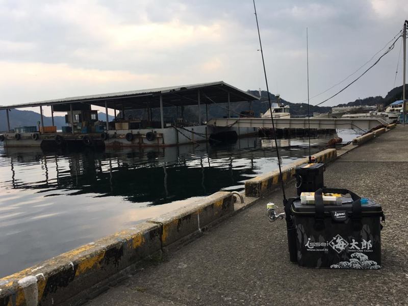 南淡路市 福良漁港のメバリング アジングでメバル釣果