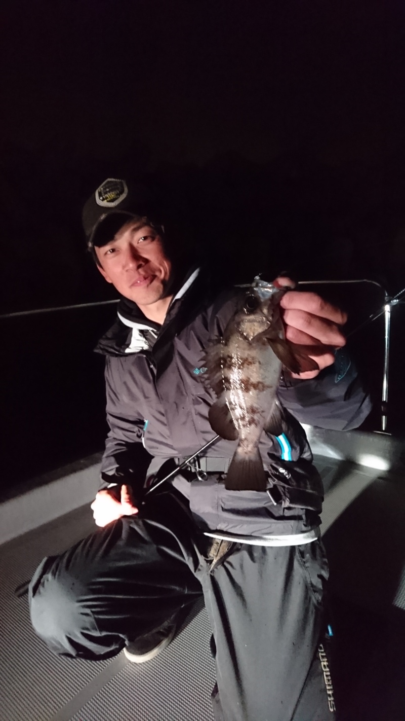 大阪湾chaseさん ライトゲームでメバル・ガシラ釣果
