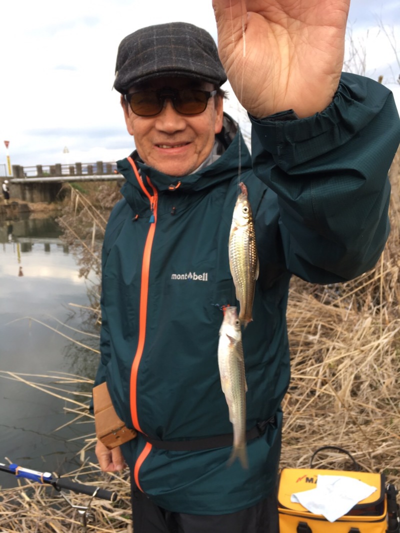 近江八幡琵琶湖のウキ釣りで本モロコ釣果