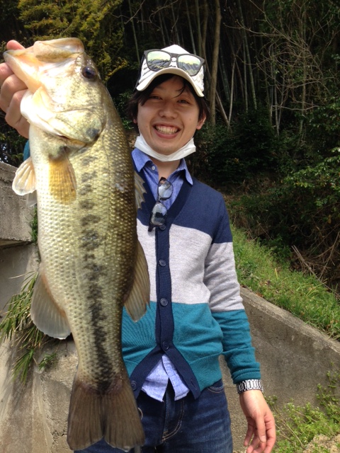 淡路島 アジング・バス釣りでアジ・メバル・バス釣果