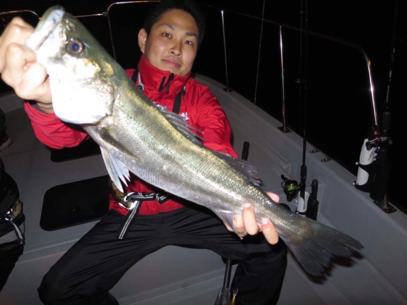 南港のボートシーバスでスズキ釣果