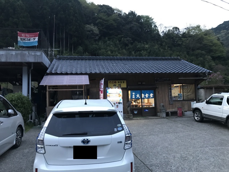 和歌山県日高川龍神村 鮎の友釣りで鮎釣果