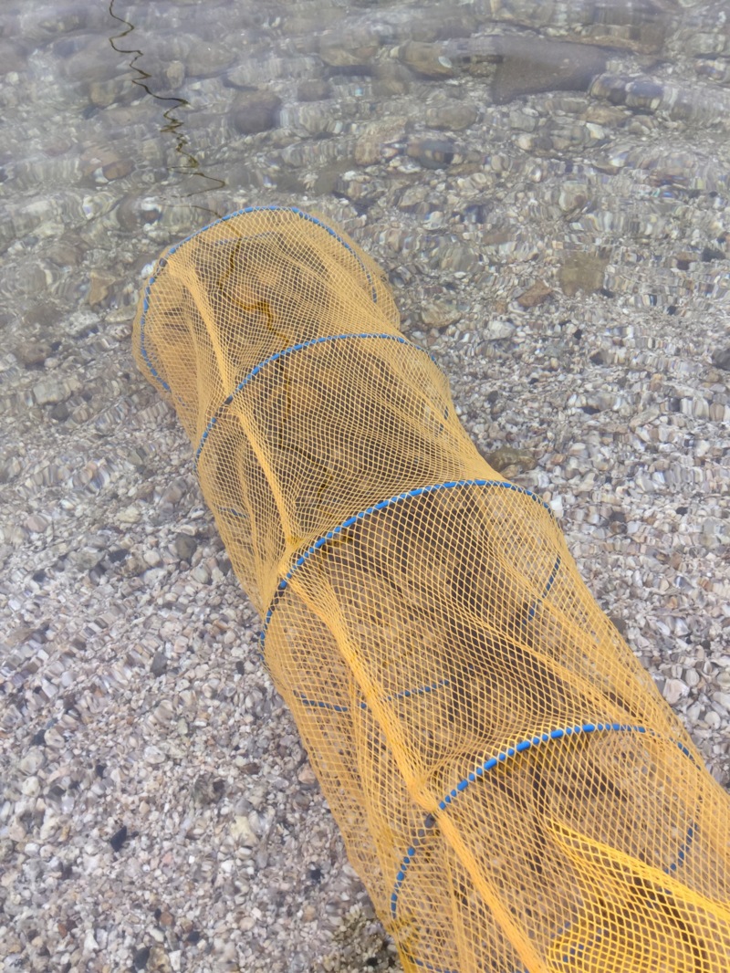 琵琶湖 北小松ビーチの淡水ウキ釣りで小鮎釣果