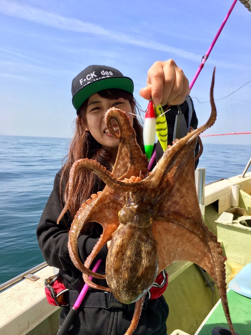 明石 丸松乗合船のタコ釣りでタコ釣果