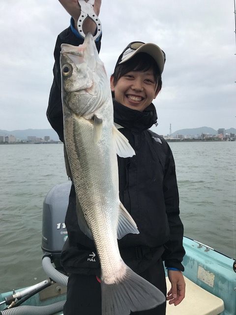 島根宍道湖のボートシーバスでシーバス釣果
