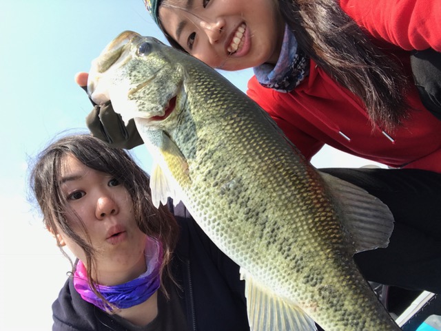 琵琶湖deps松下さんガイドのバス釣りでブラックバス釣果