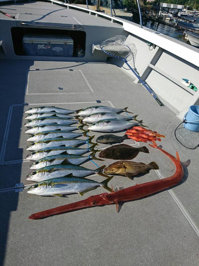 三重県ジギング・キャスティングで青物釣果