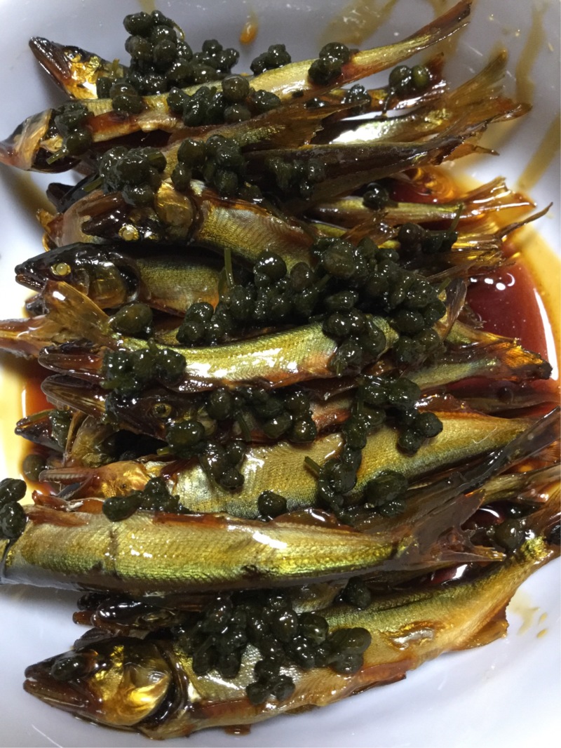 湖西路ランガンの淡水ウキ釣りで小鮎釣果