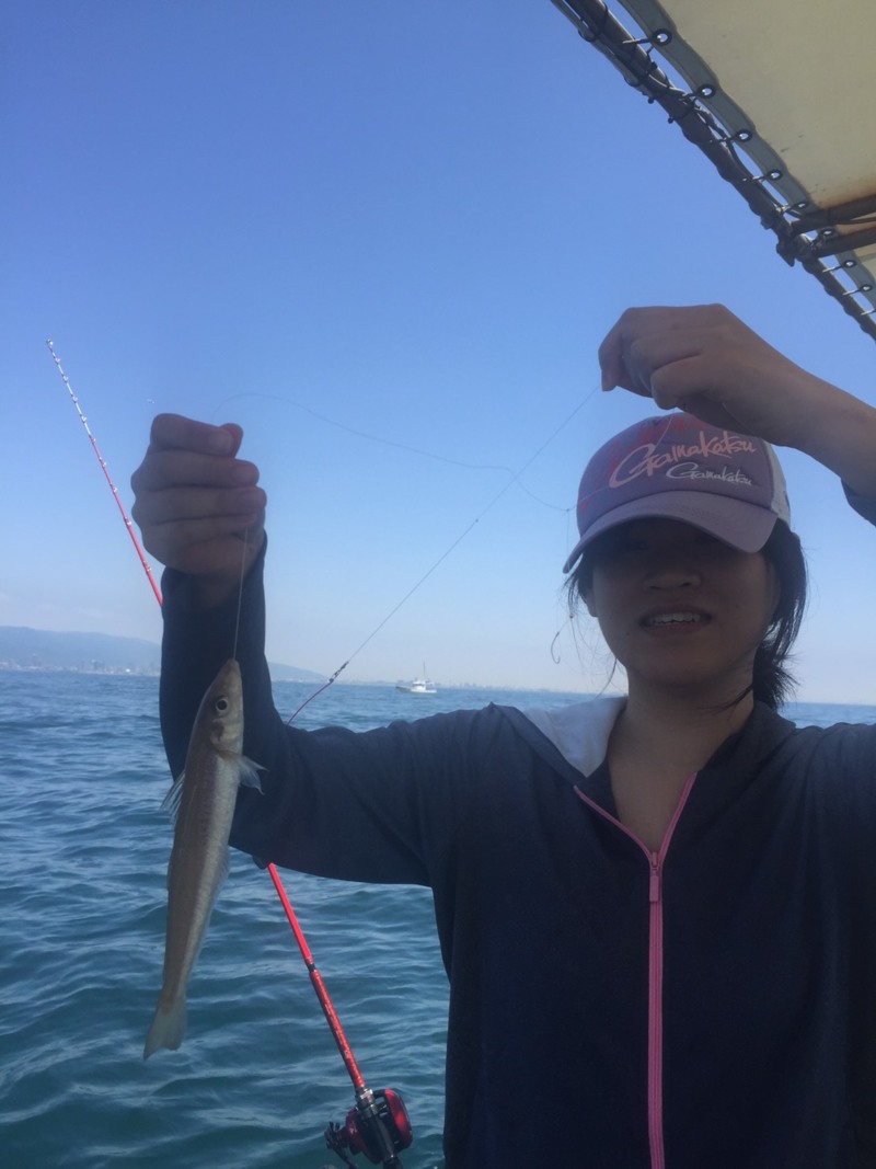 淡路沖 須磨沖の大ちゃん丸でタコ&キス釣果