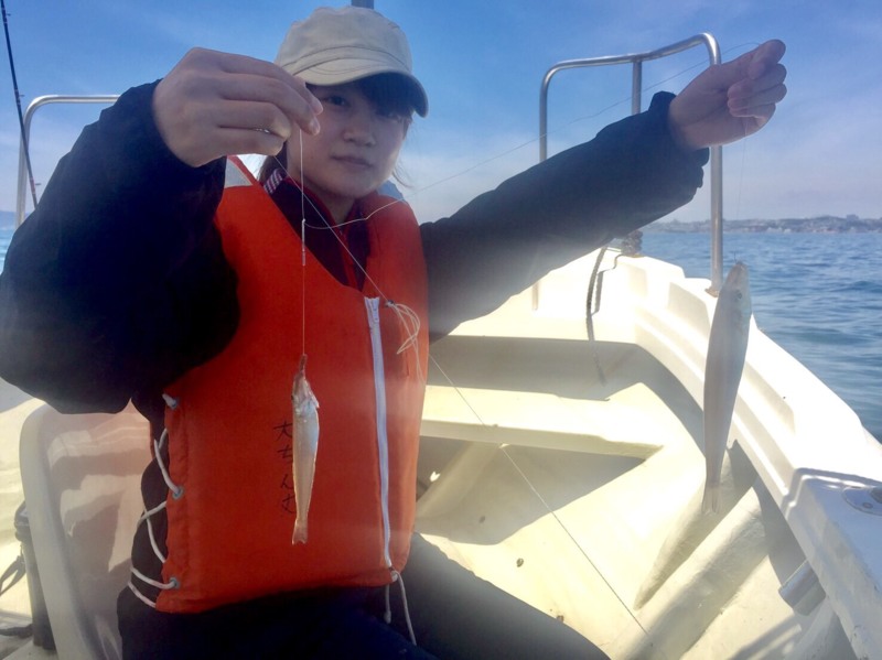 淡路沖 須磨沖の大ちゃん丸でタコ&キス釣果