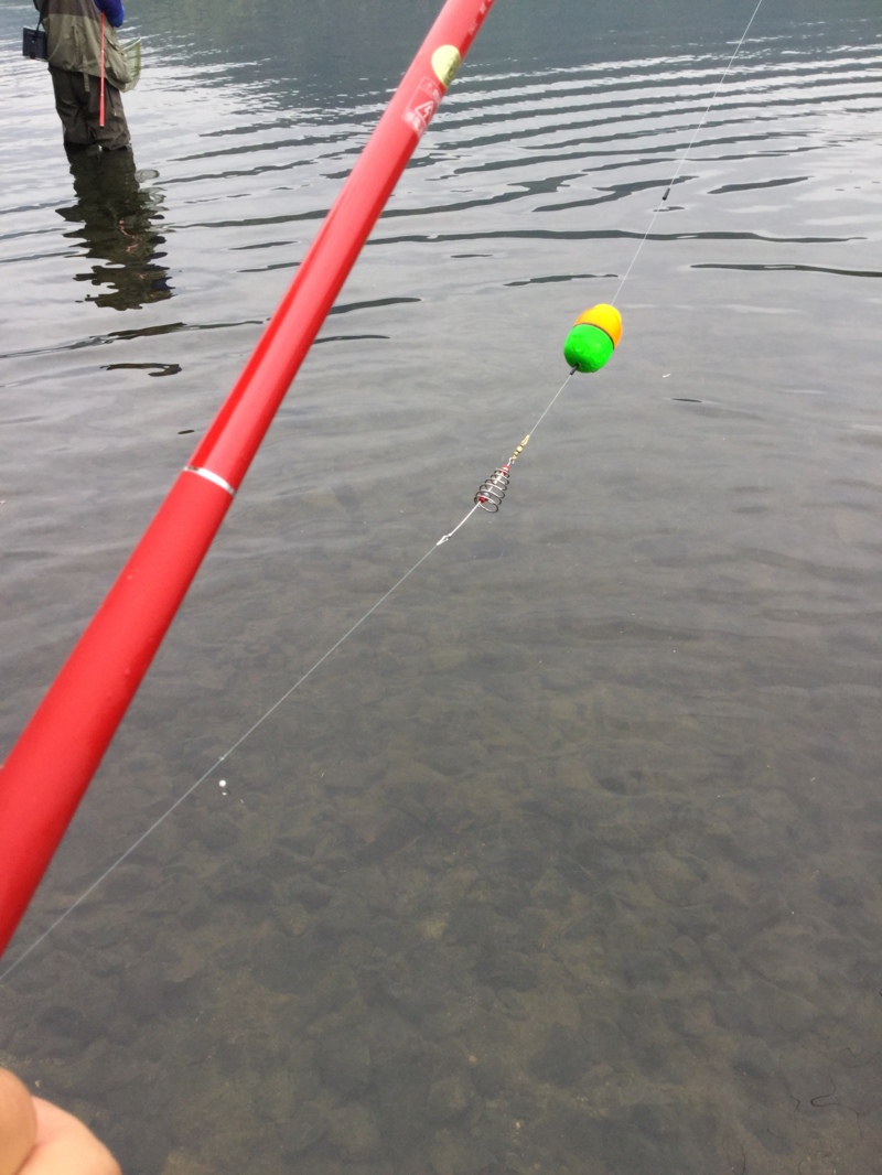 湖西北小松~海津の淡水ウキ釣りで小鮎釣果