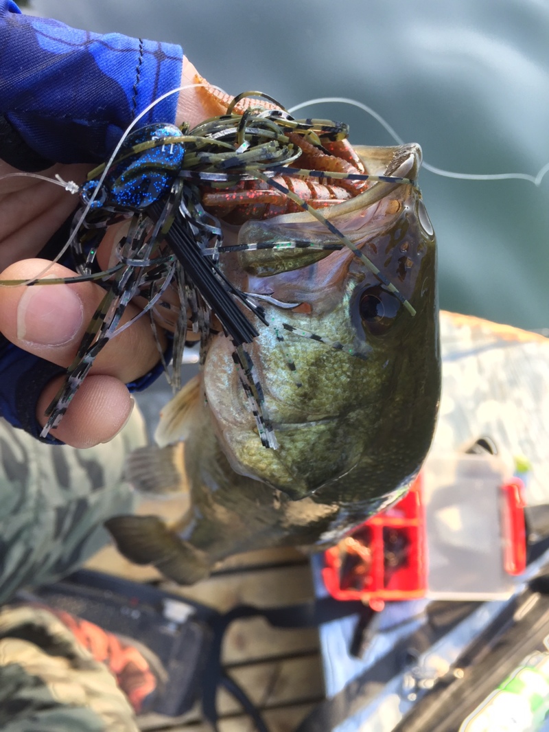 岡山県リザーバーのバス釣りでブラックバス釣果
