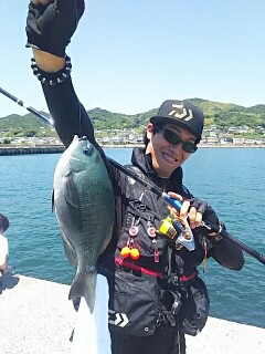 淡路島の波止の五目釣りでスズキ・グレ・ガシラ釣果