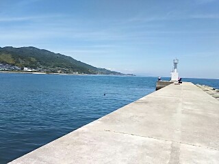 淡路島の波止の五目釣りでスズキ・グレ・ガシラ釣果