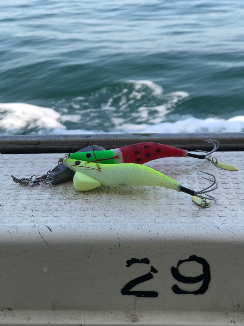 明石沖の船釣りでタコ釣果