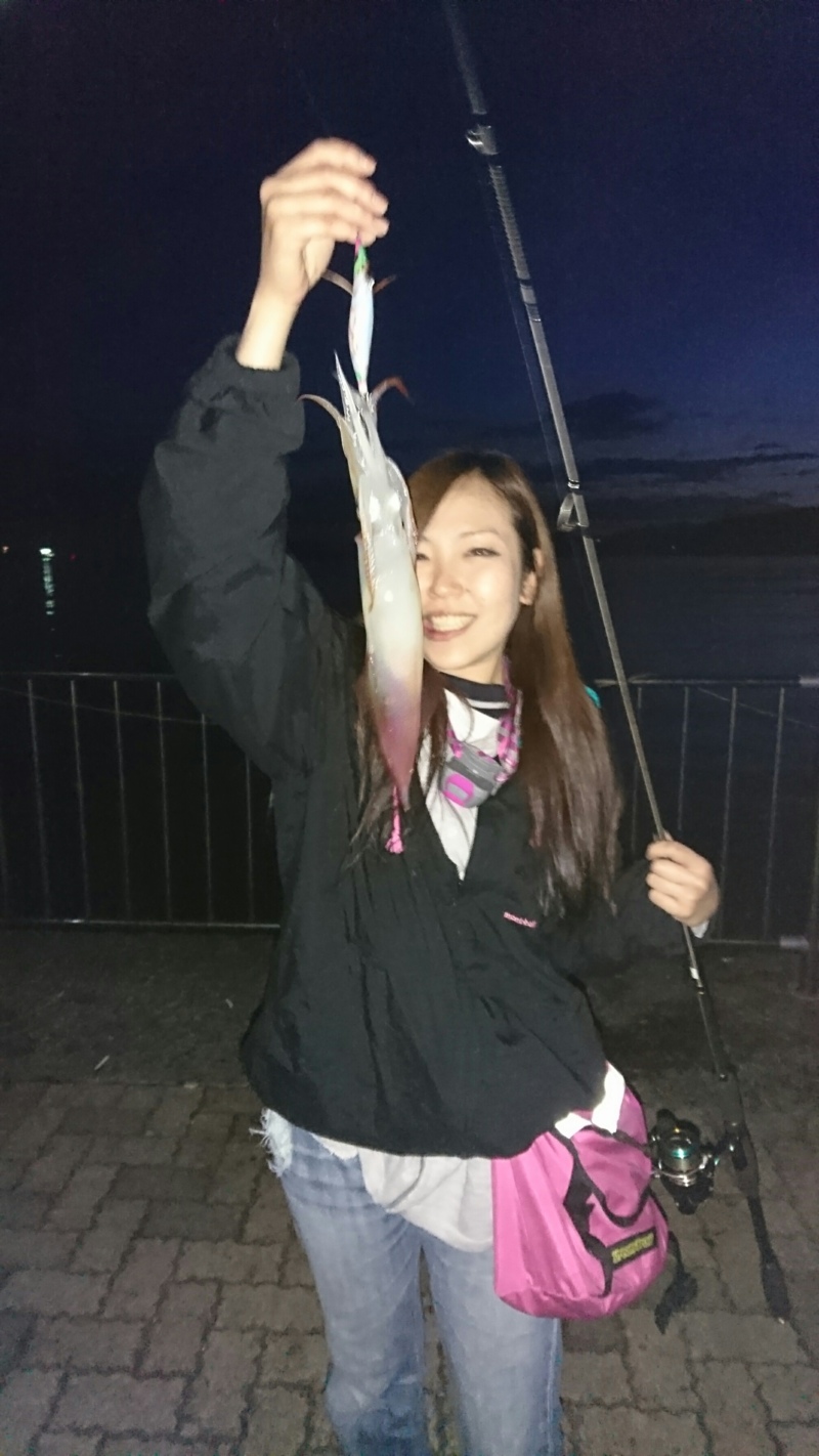 福井県敦賀のエギングでイカ釣果