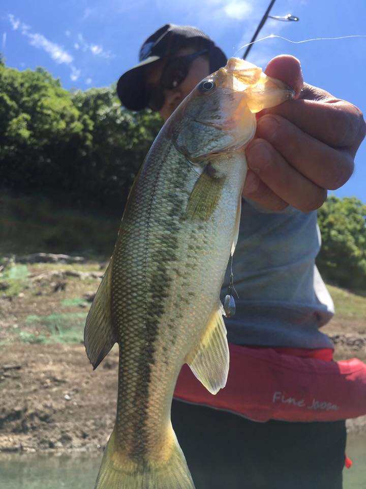 日吉のフィッシャーマンズタウンでバス釣果
