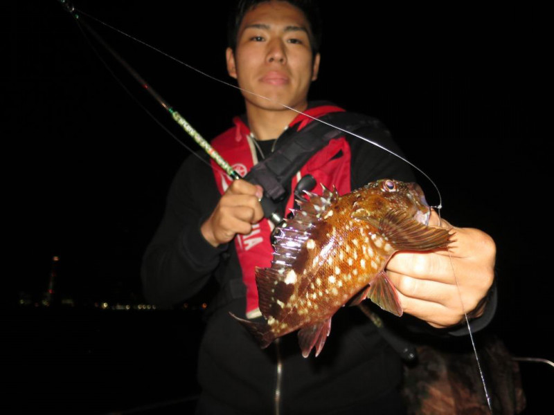 大阪湾 根魚フィッシングでアコウ・ガシラ釣果