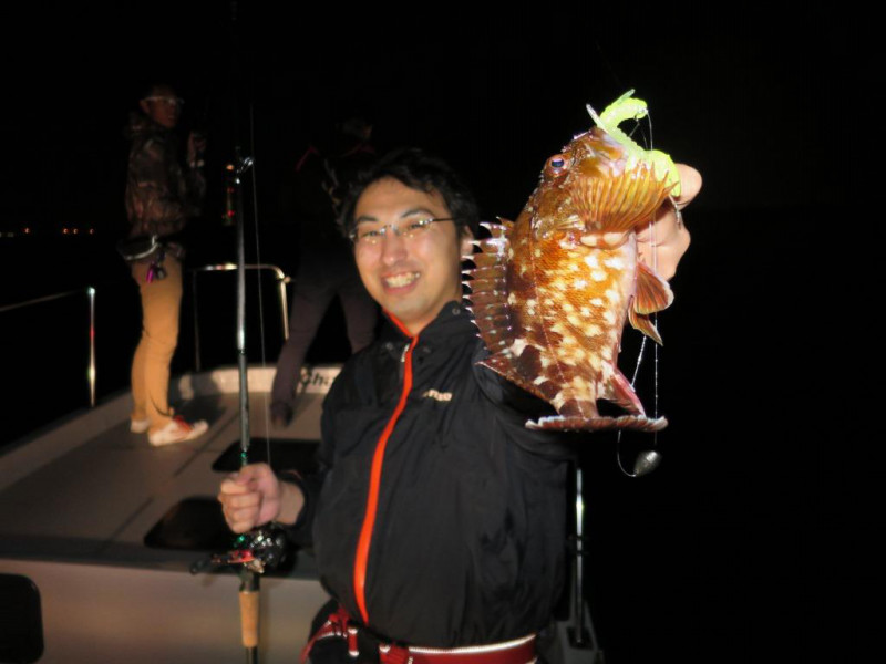 大阪湾 根魚フィッシングでアコウ・ガシラ釣果