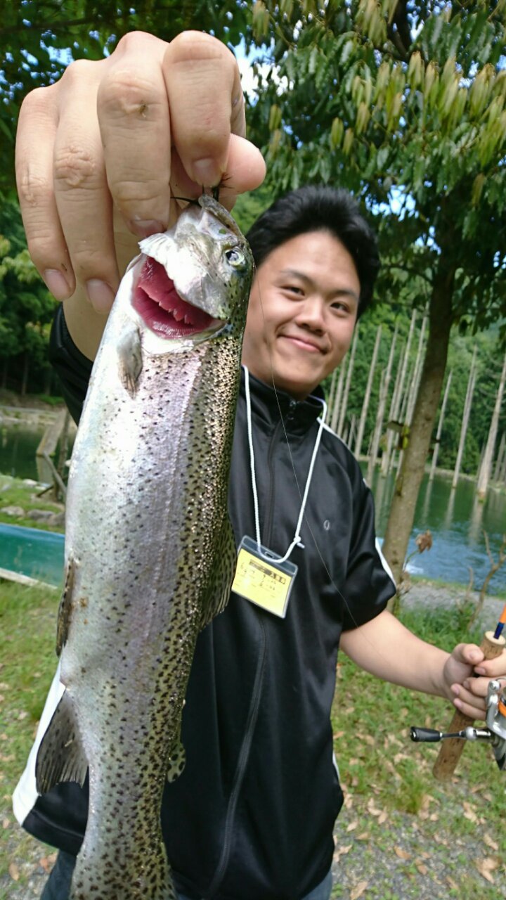朽木渓流魚センターのルアー釣りでトラウト・ヤマメ・イワナ釣果