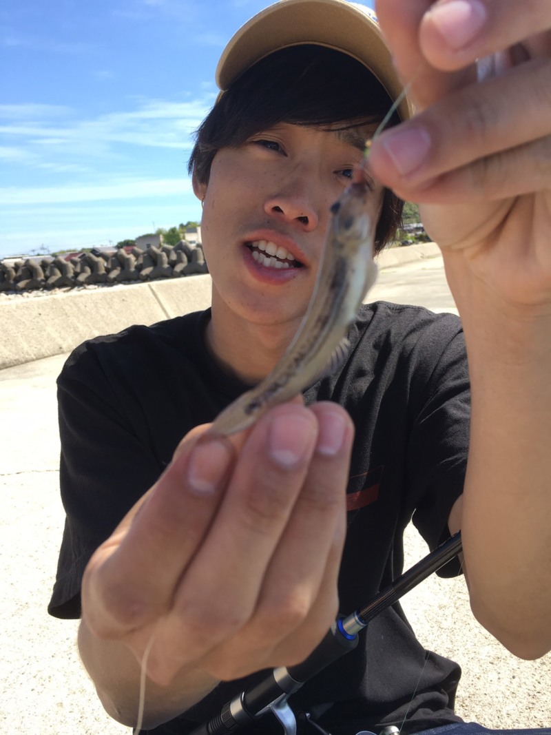 淡路島の投げ釣りでキス釣果