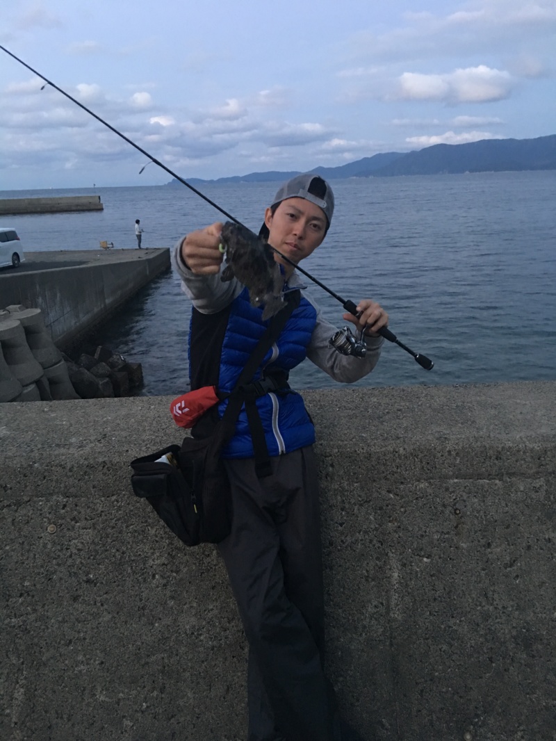 宮津 ロックフィッシュでアコウ・クロソイ・ガシラ釣果