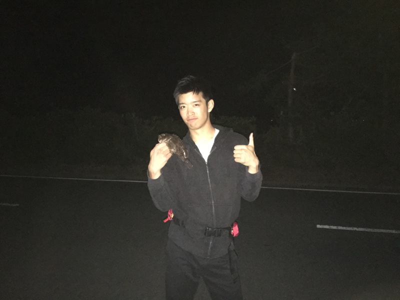 宮津 ロックフィッシュでアコウ・クロソイ・ガシラ釣果