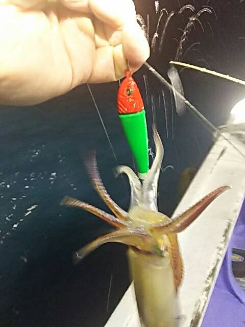 鳥取 久幸丸さん イカメタルでマイカ釣果