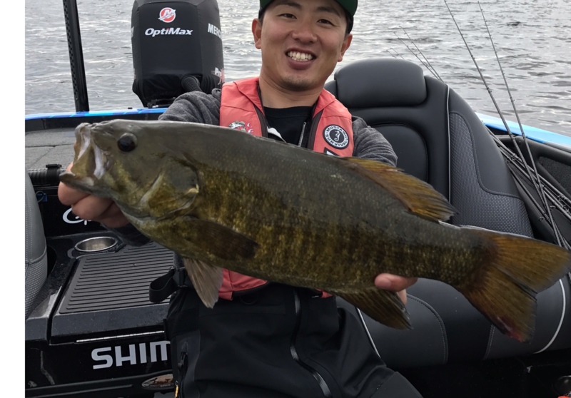 アメリカ オネイダレイク ルアーでスモールマウスバス釣果