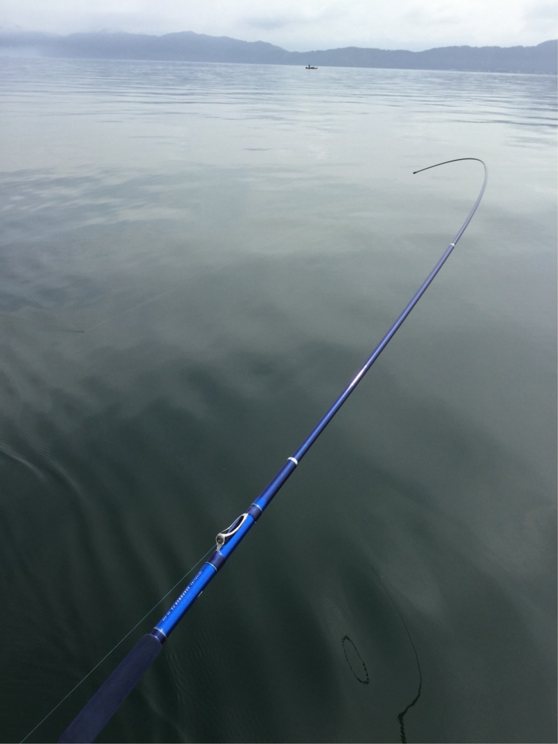 琵琶湖トローリング体験でビワマス釣果