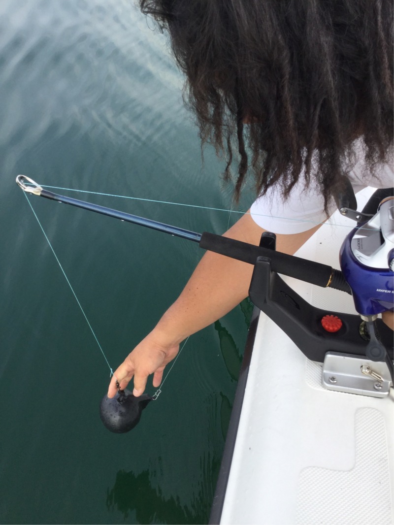 琵琶湖トローリング体験でビワマス釣果