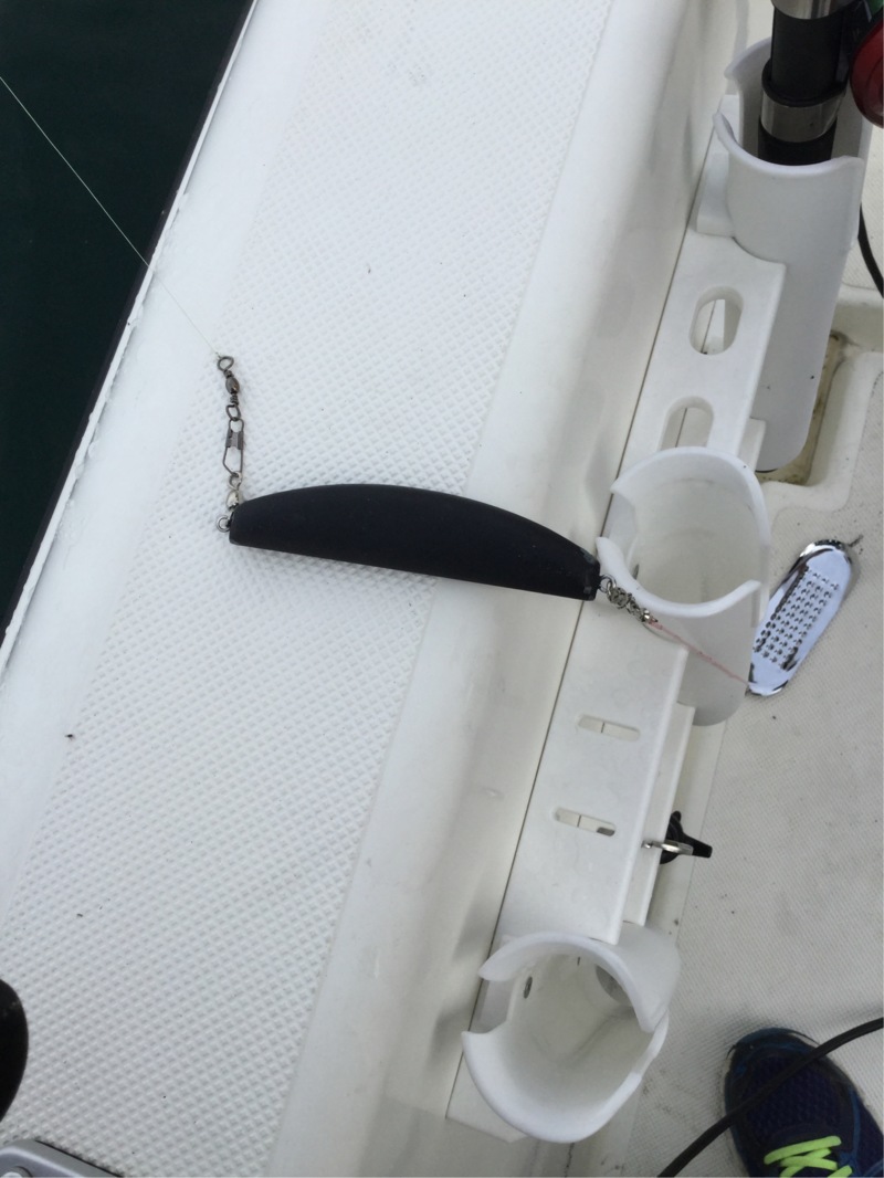 琵琶湖トローリング体験でビワマス釣果