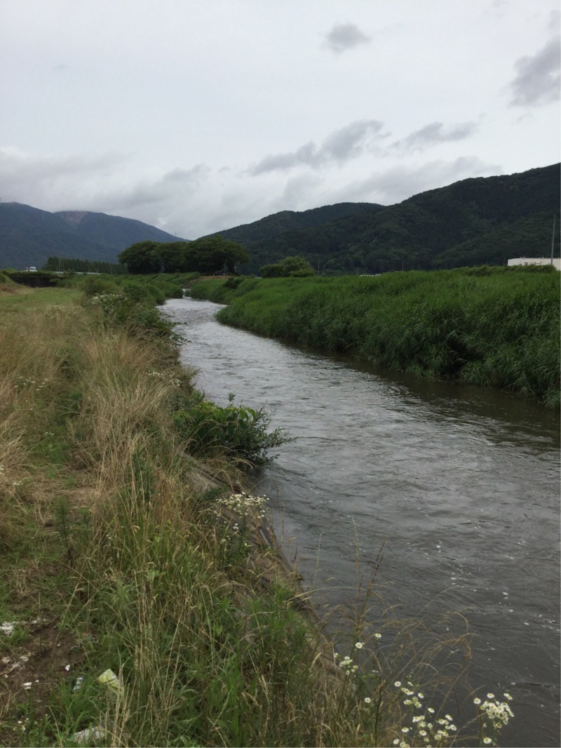 琵琶湖マキノ町知内川の淡水ウキ釣りで小鮎釣果