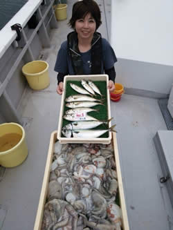 【兵庫県明石】船でタコ、アジ、サバ釣果|台風前!