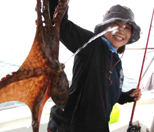 明石沖の船タコでマダコ釣果