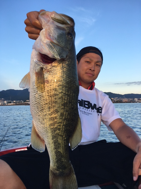 琵琶湖南湖のルアーフィッシングでブラックバス釣果