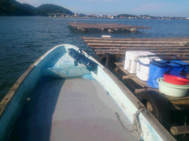 京都府京丹後市久美浜 かかり釣りでチヌ釣果