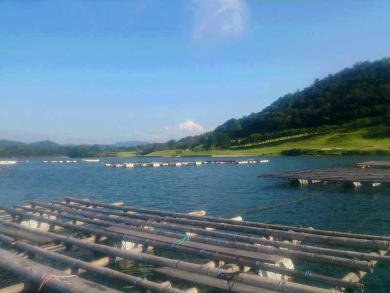 京都府京丹後市久美浜 かかり釣りでチヌ釣果