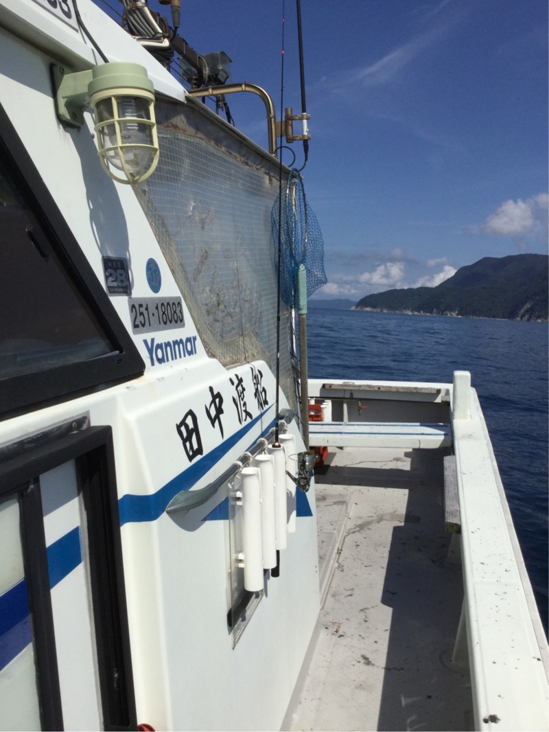 小浜沖の田中渡船 ティップランでアオリイカ釣果