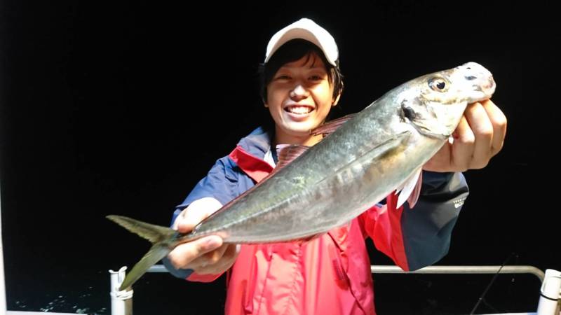 三重県 紀伊長島 和栄丸のボートアジングでアジ釣果