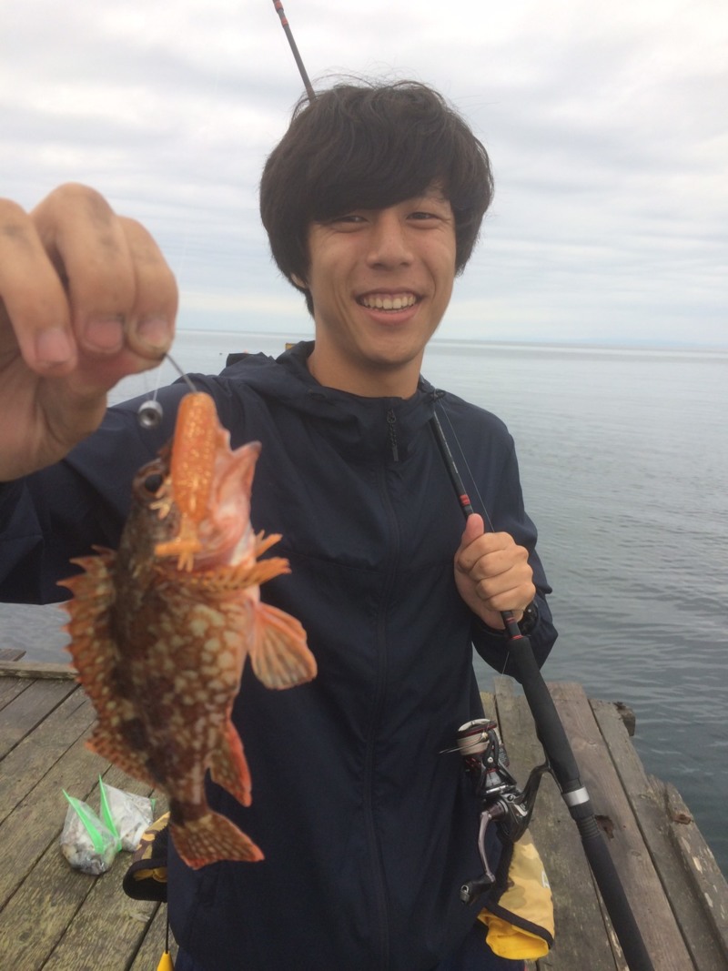 日本海若狭の筏エギングでアオリイカ釣果