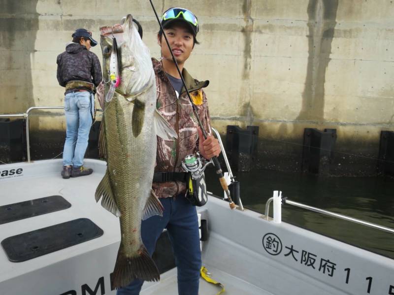 大阪湾ボートシーバスでシーバス釣果