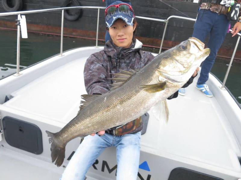 大阪湾ボートシーバスでシーバス釣果