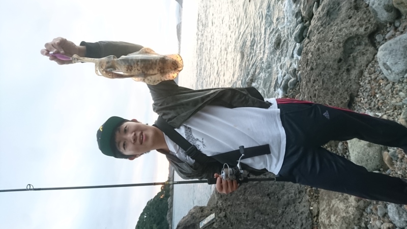 串本大島のエギングでアオリイカ釣果