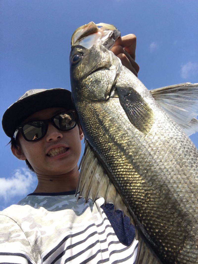 高知県宿毛市 ソルトルアーでシーバス釣果