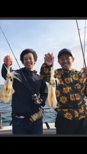 京都ティップランエギングでアオリイカ釣果