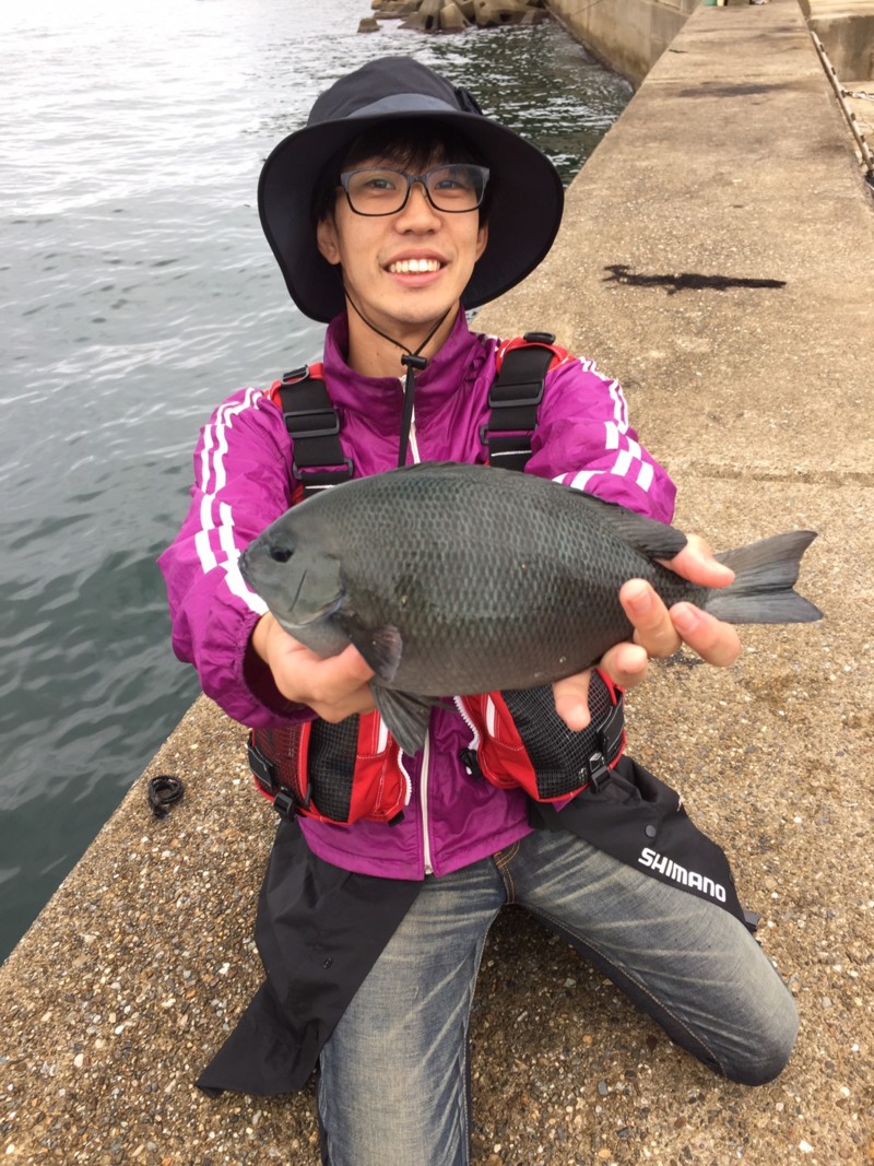 東舞鶴の波止フカセでアジ・グレ釣果