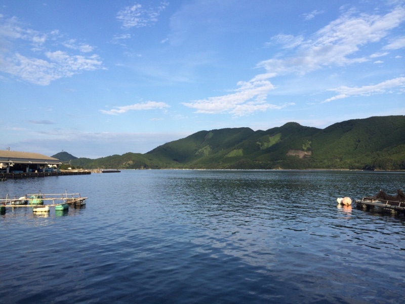 「三重県尾鷲」筏釣り|アジ・サバ・オオモンハタなど釣果