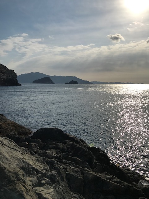 四国磯釣り遠征